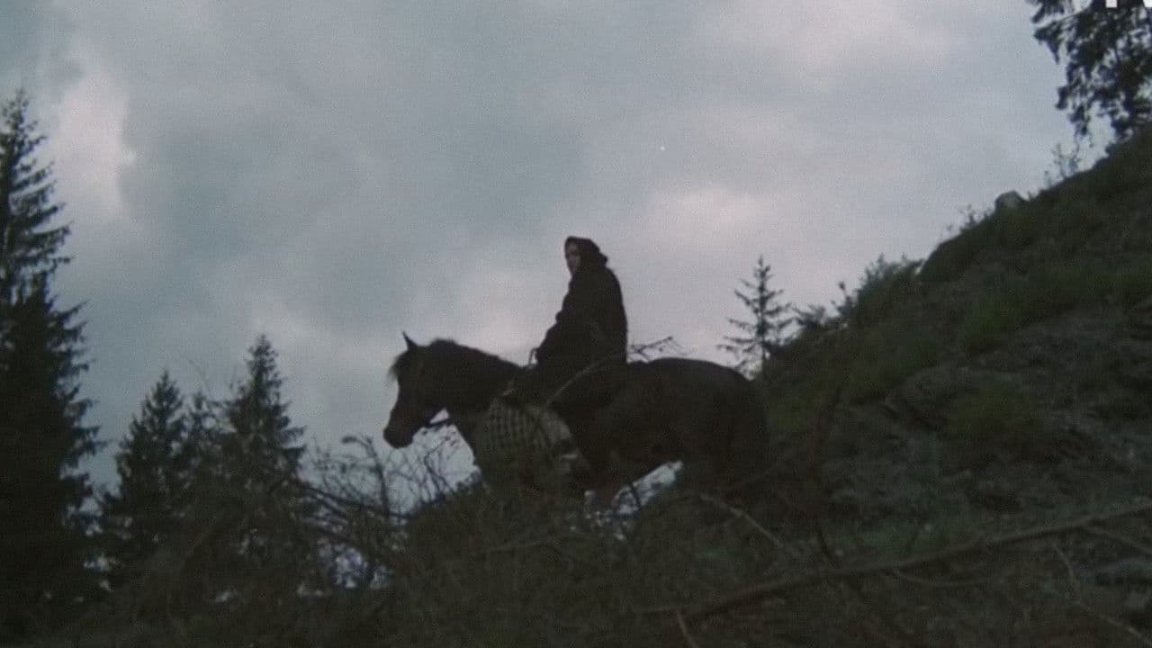 Backdrop – Baltagul