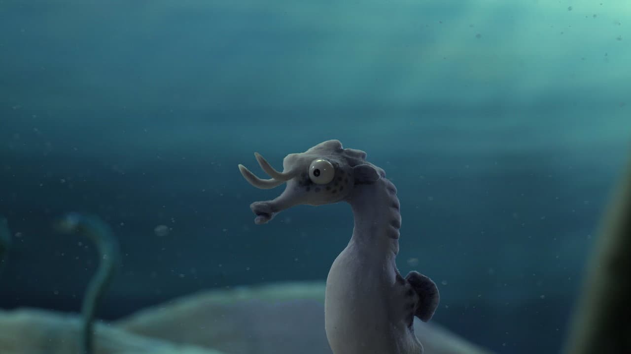 Backdrop – The Lost Seahorse