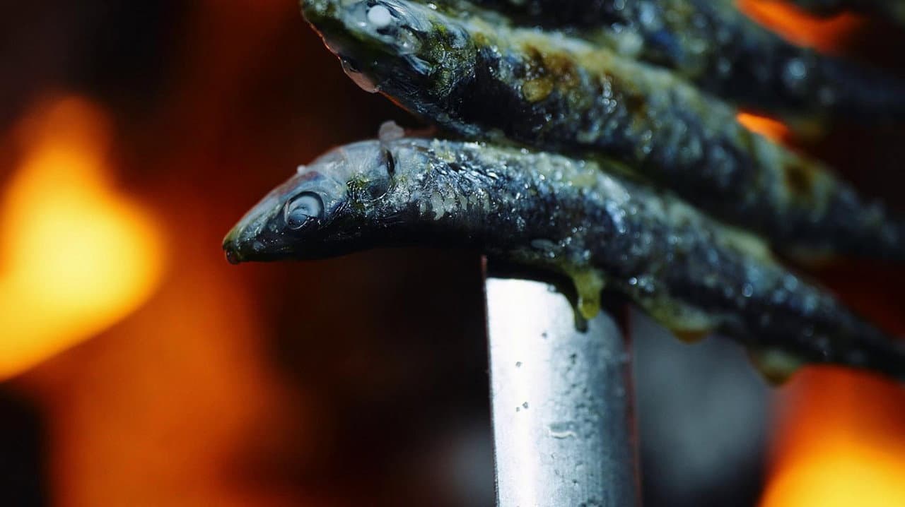 Backdrop – El amoragaor