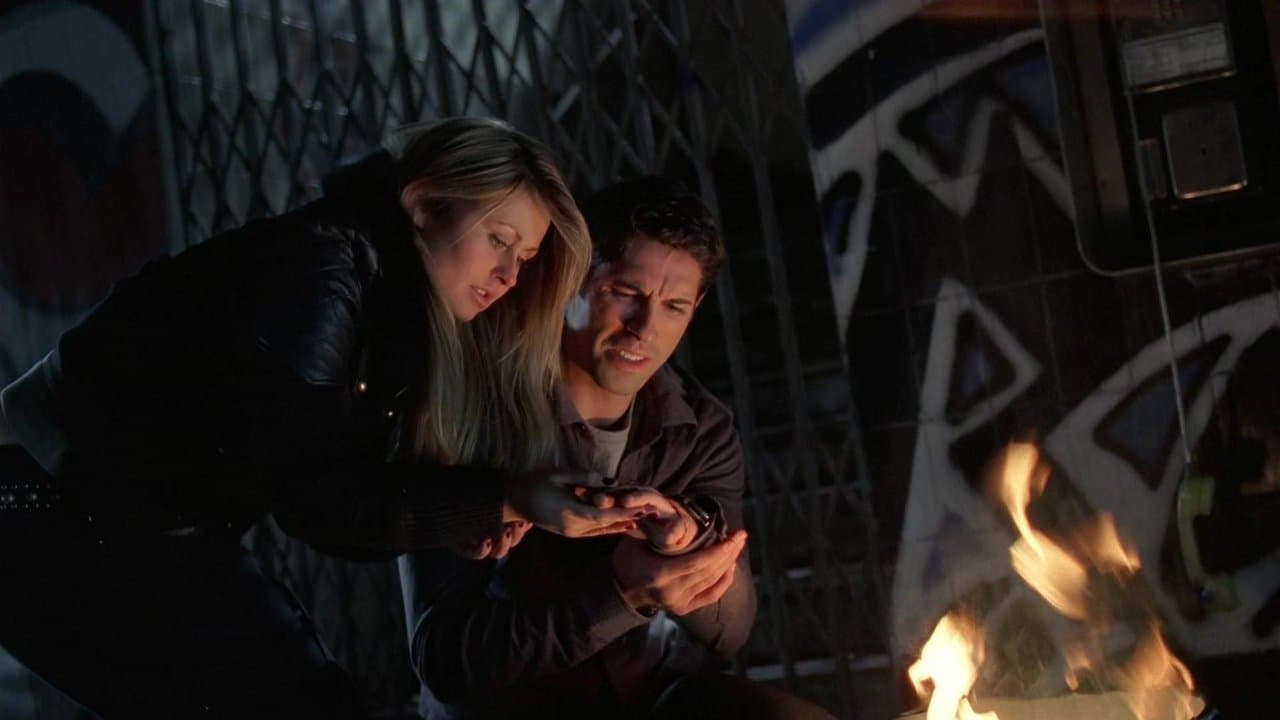 Backdrop – Stag Night