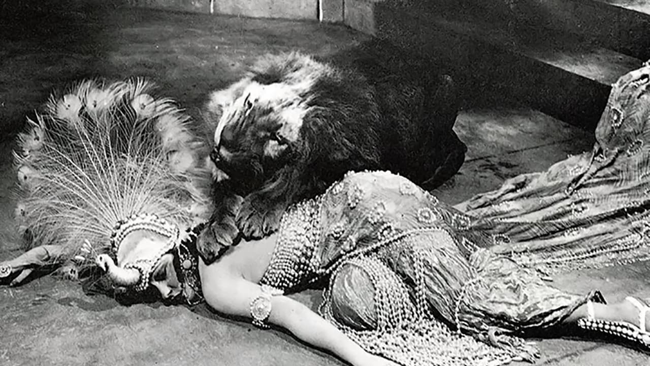 Backdrop – Vom Diener zum Herrscher – Der ungekrönte König