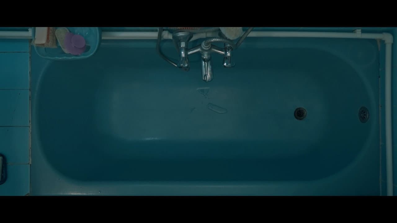 Backdrop – Hamam Böceği