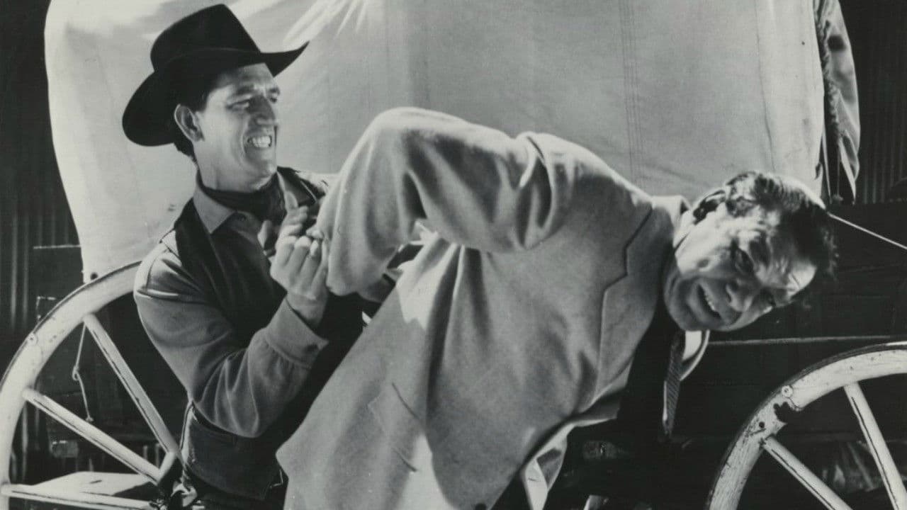 Backdrop – The Silver Star