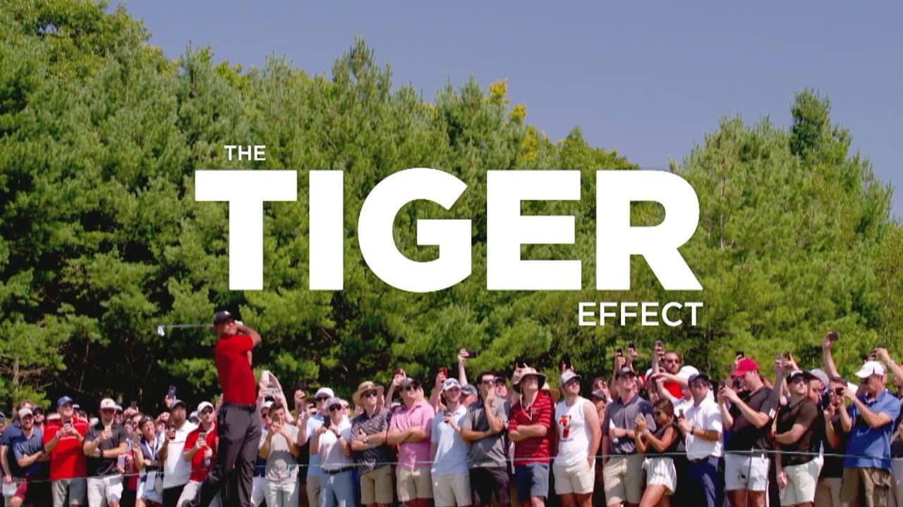 Backdrop – The Tiger Effect