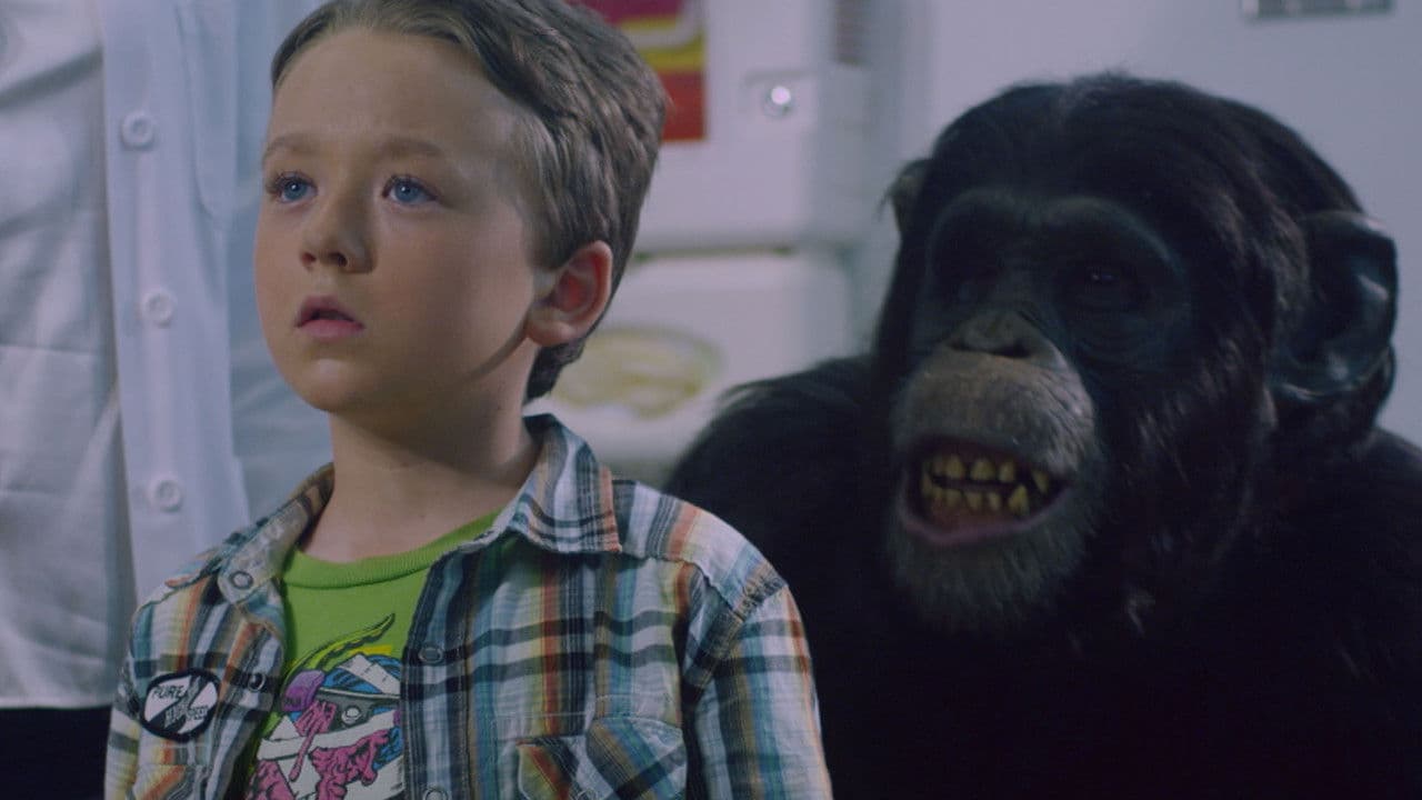 Backdrop – Amazing Ape