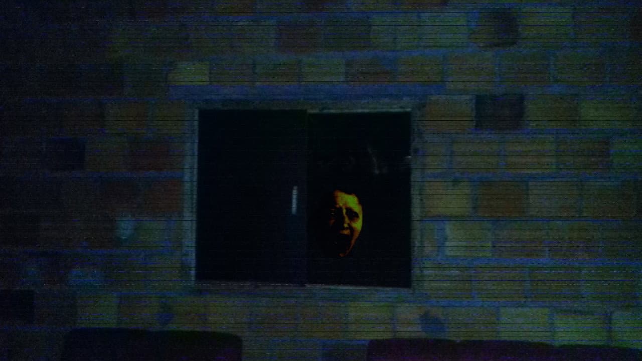 Backdrop – Happy Face In The Window