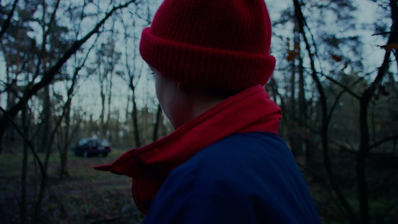 Backdrop – Die Amsel auf dem Ast