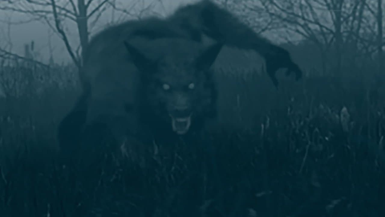 Backdrop – The Bray Road Beast