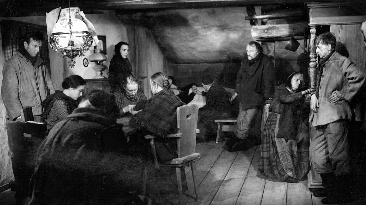 Backdrop – Leuchtfeuer