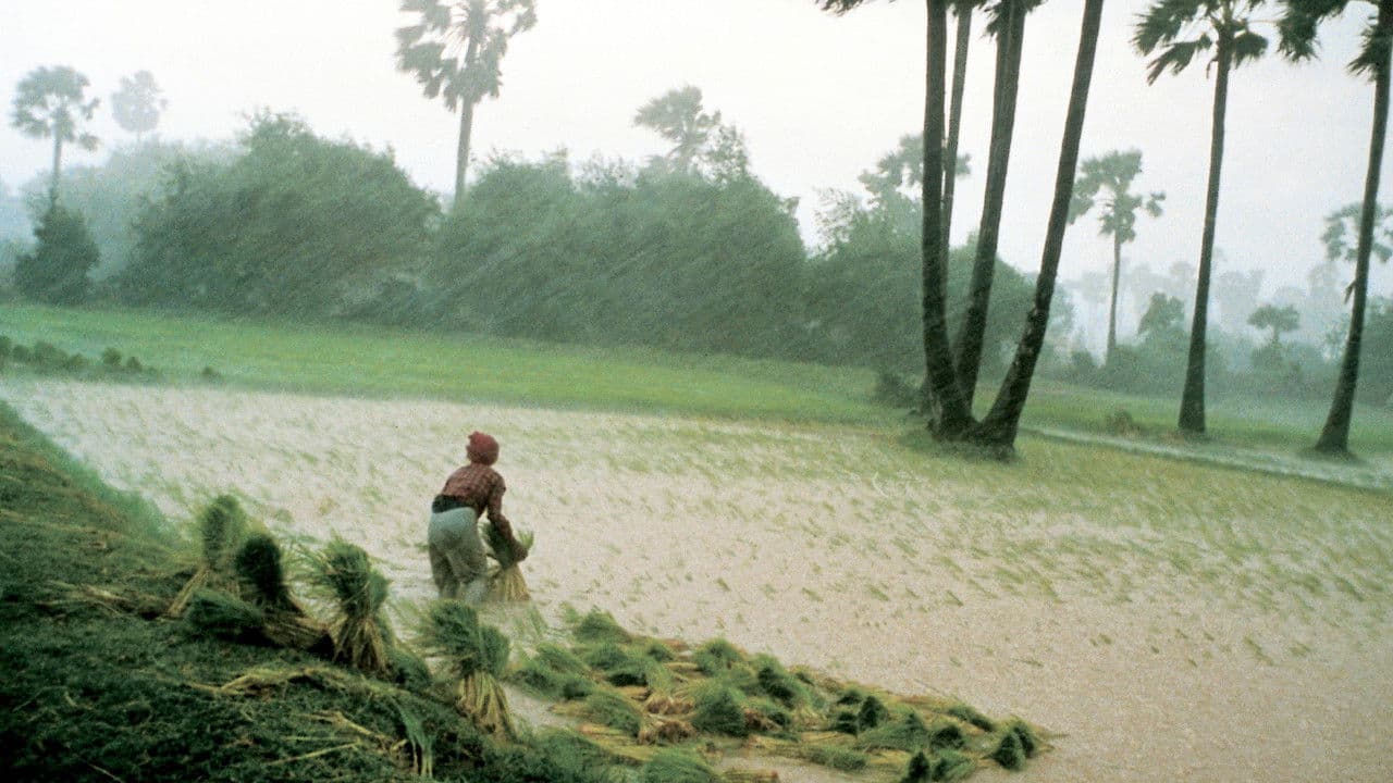 Backdrop – អ្នកស្រែ