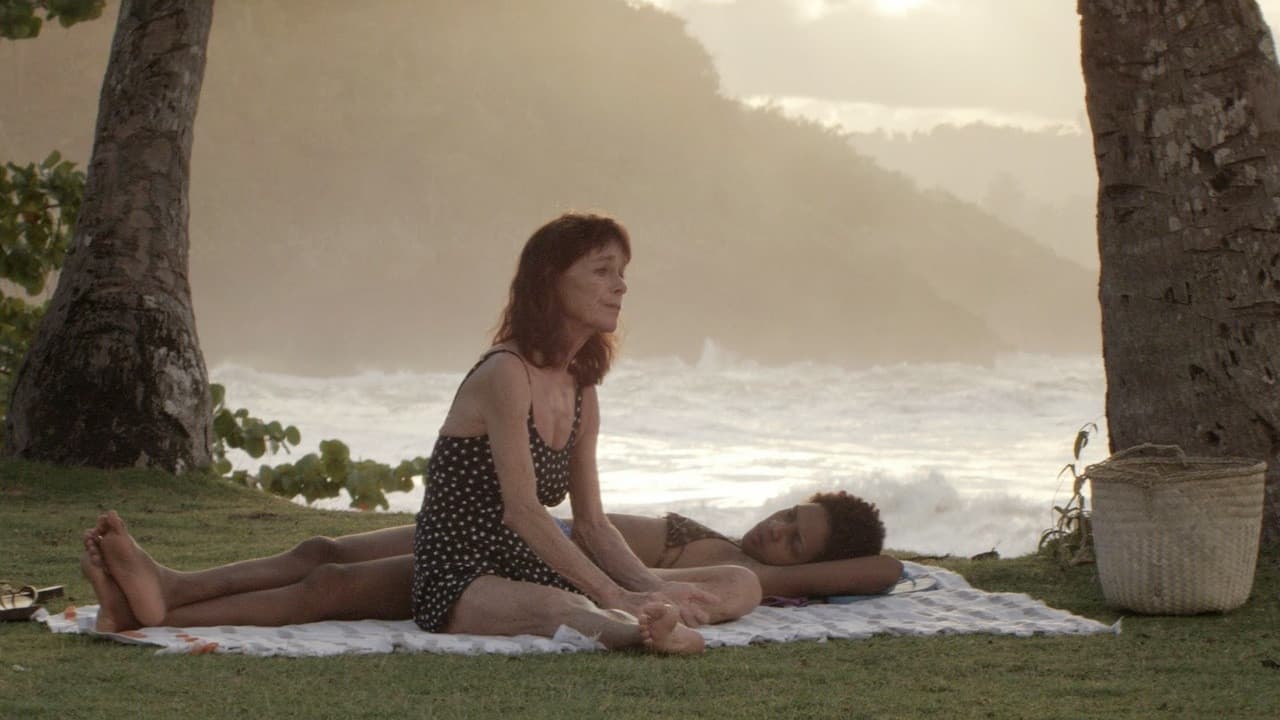 Backdrop – Sand Dollars