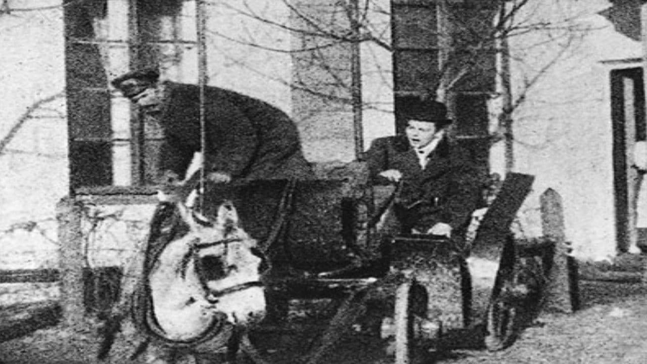 Backdrop – Powrót birbanta