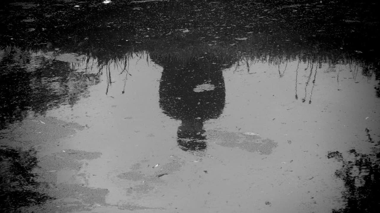 Backdrop – Narcissus