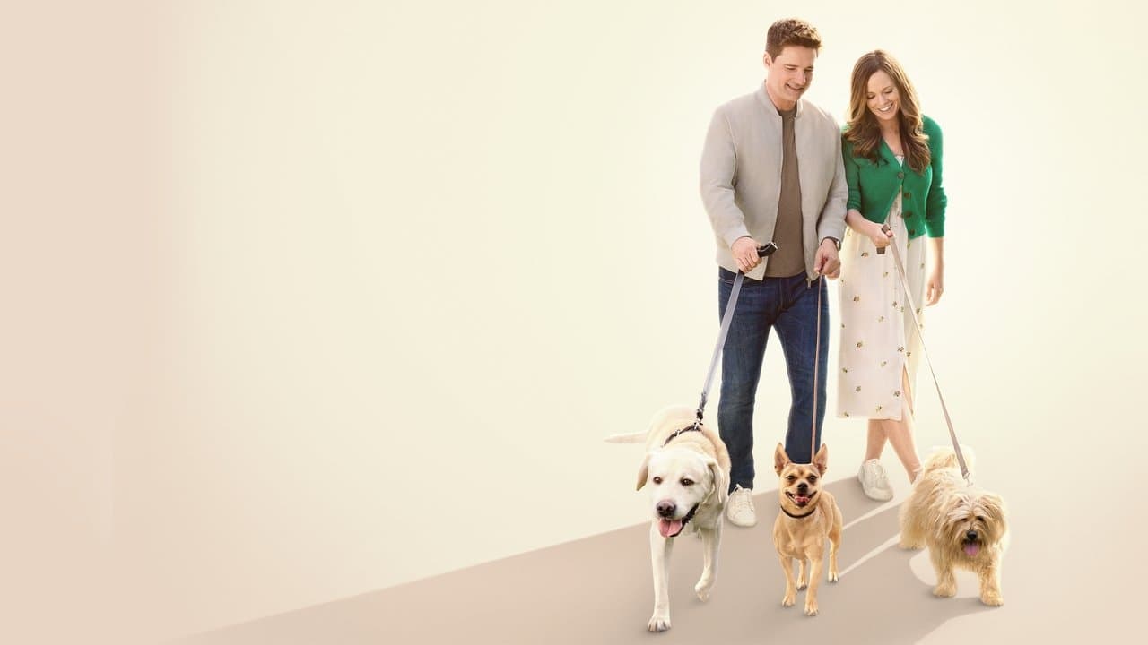 Backdrop – The More Love Grows