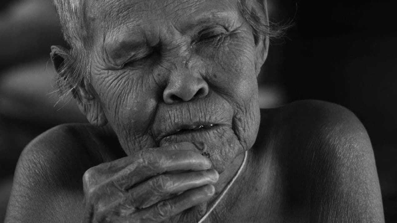 Backdrop – วังพิกุล