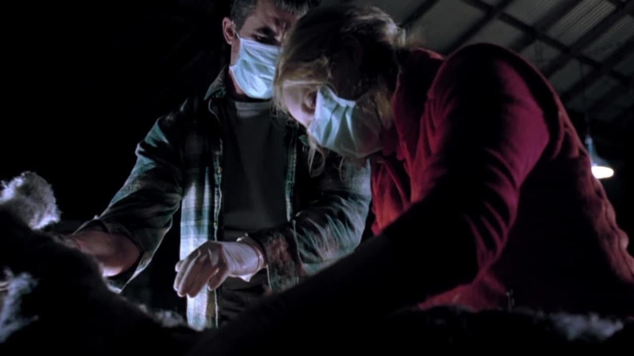 Backdrop – Isolation