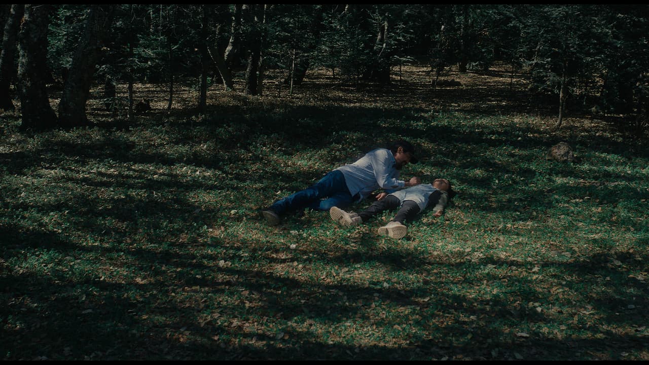 Backdrop – Viejo Pozo