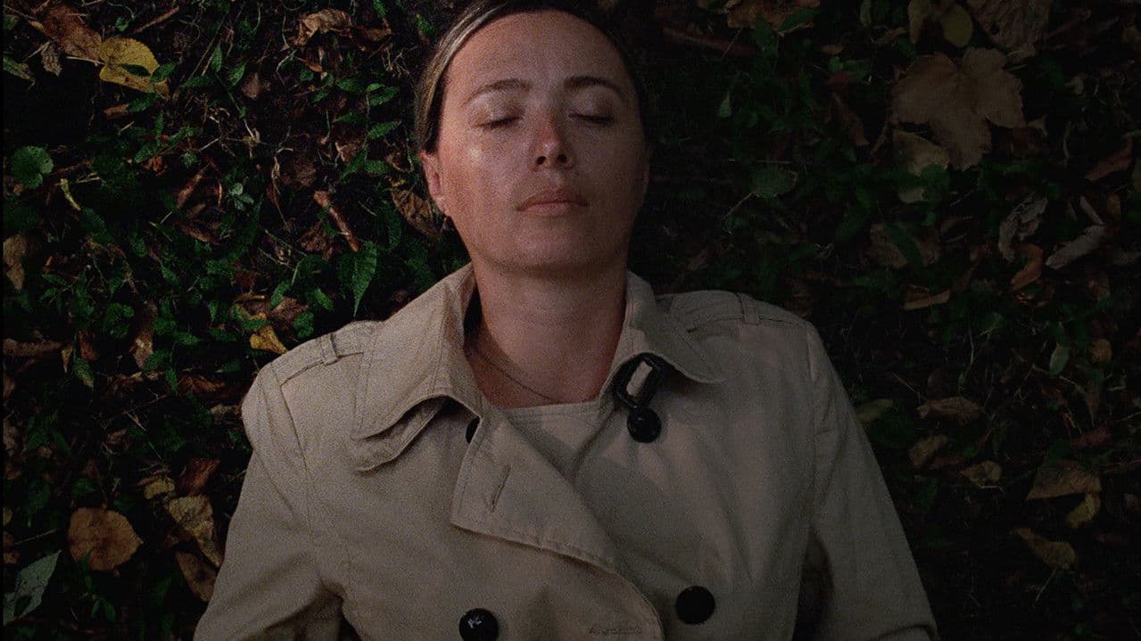 Backdrop – დასაწყისი