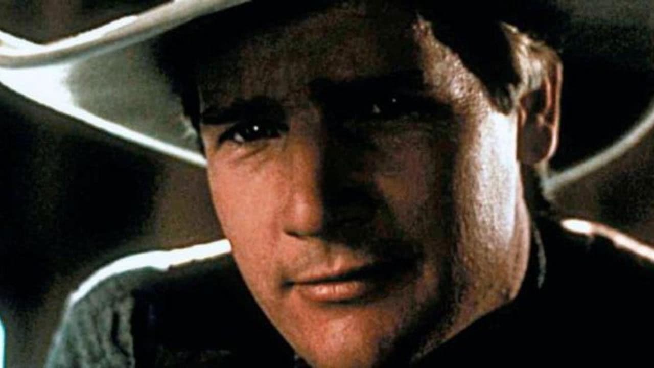 Backdrop – Gunfighter