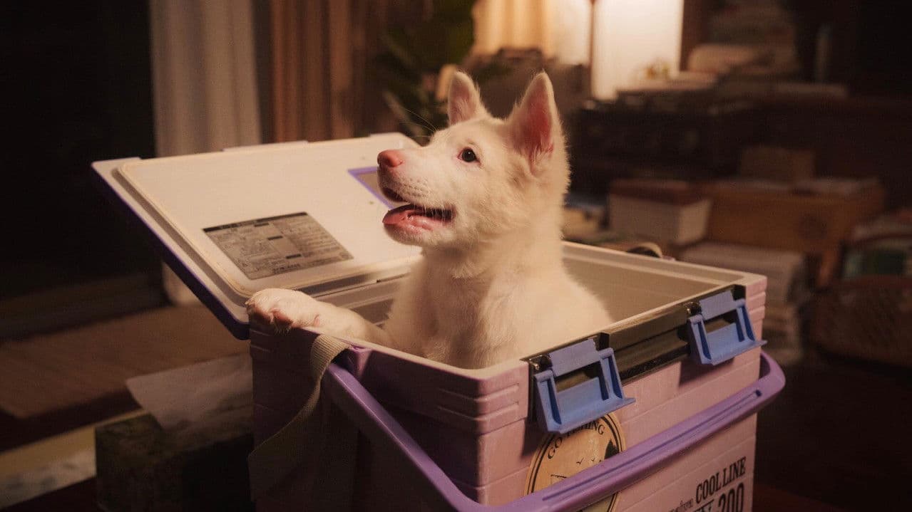 Backdrop – โกฮัง..หัวใจโกโฮม