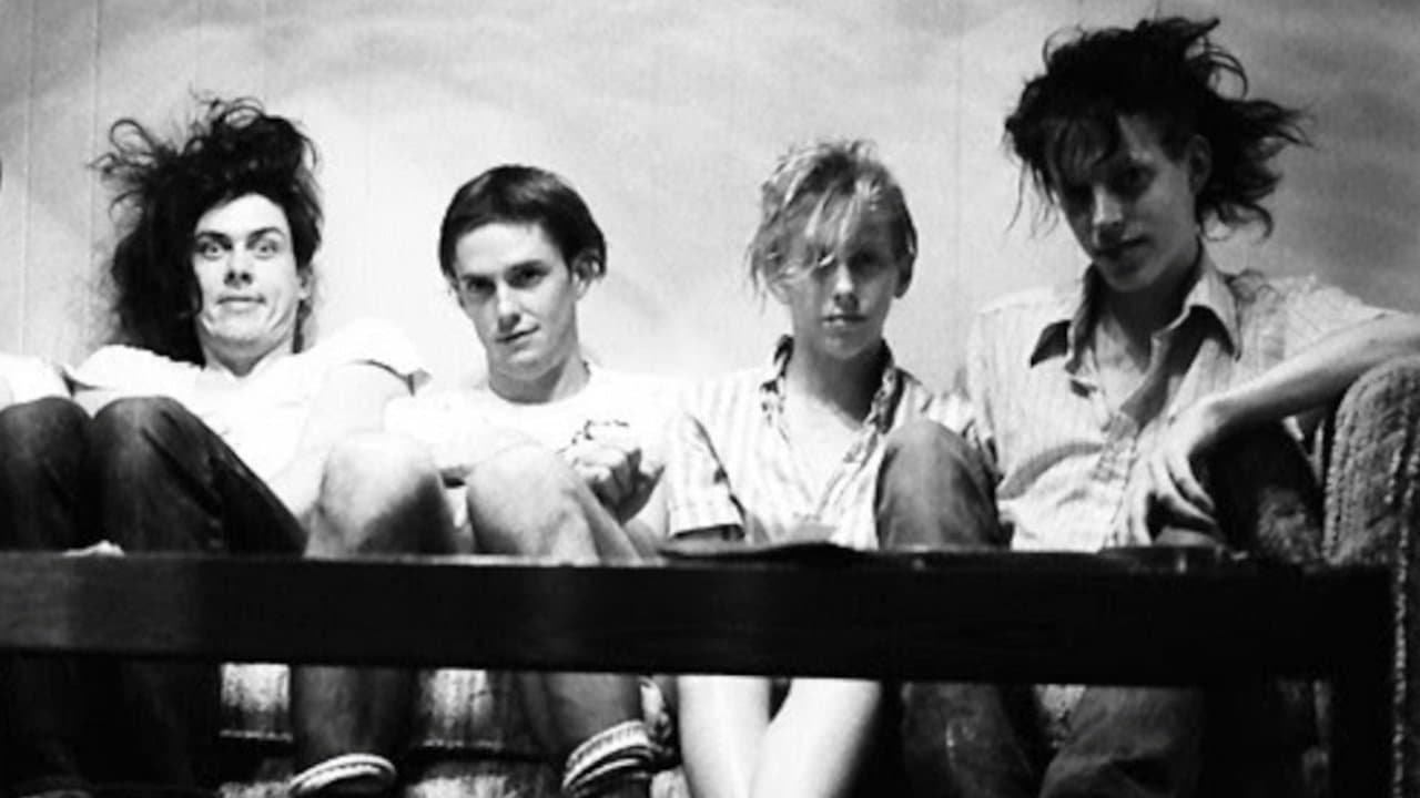 Backdrop – Butthole Surfers: The Hole Truth and Nothing Butt