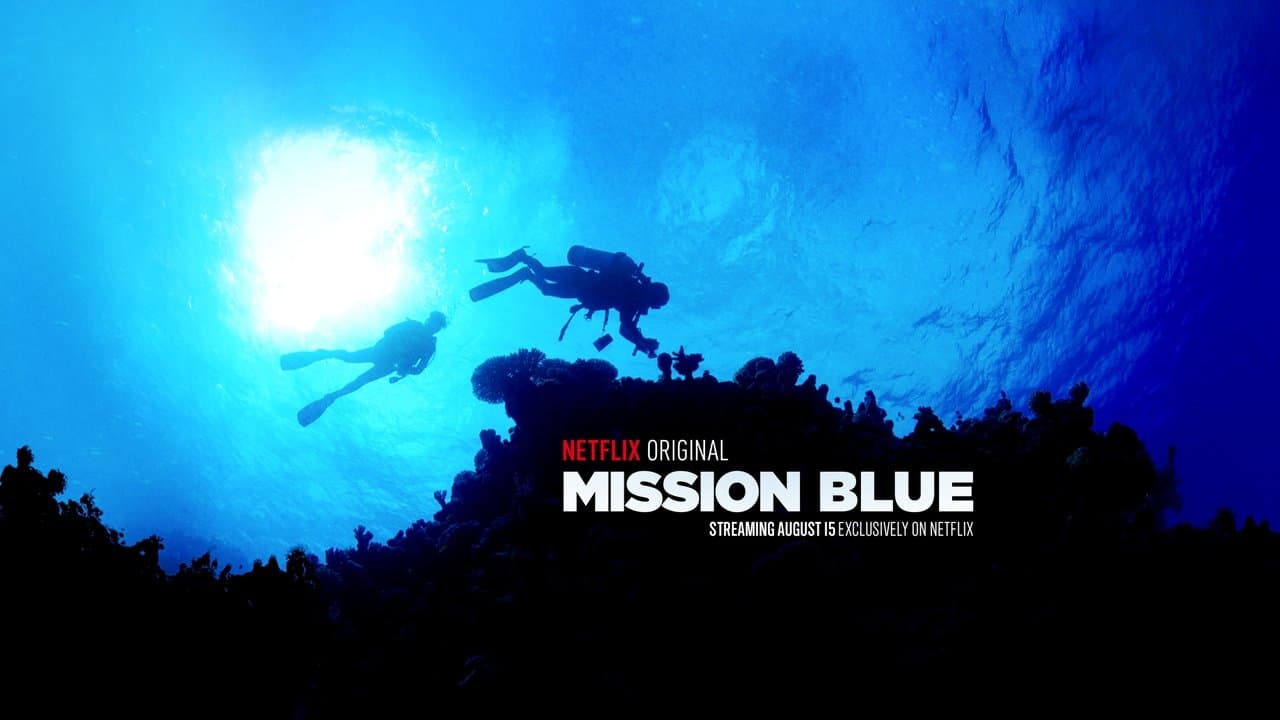 Backdrop – Mission Blue