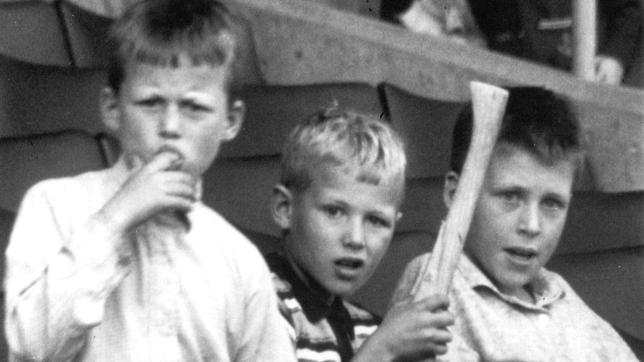 Backdrop – Rocky Road to Dublin