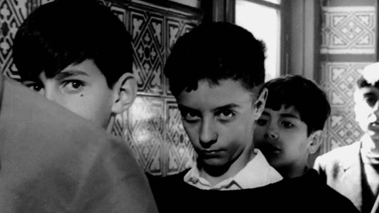 Backdrop – La caza de brujas