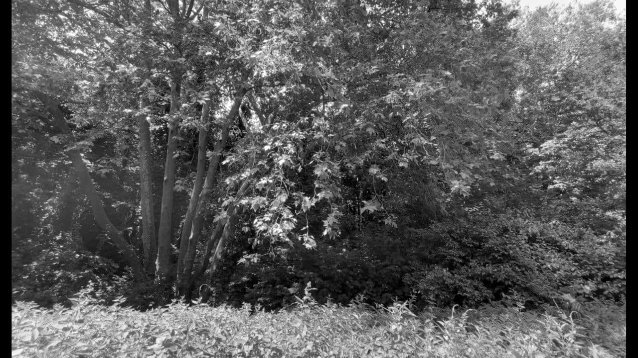 Backdrop – ARGILEUX