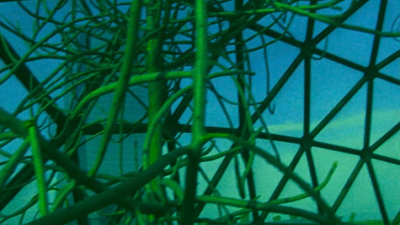 Backdrop – Ornette: Made in America