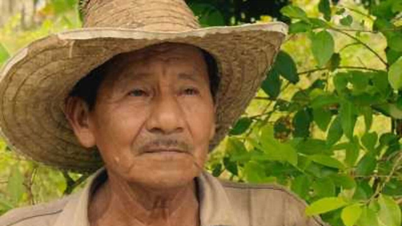 Backdrop – Guerras ajenas