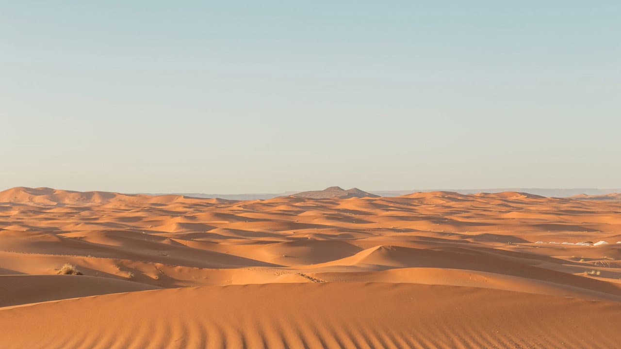 Backdrop – Sahara Swing