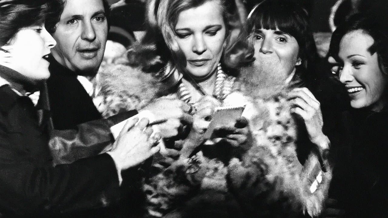 Backdrop – Opening Night