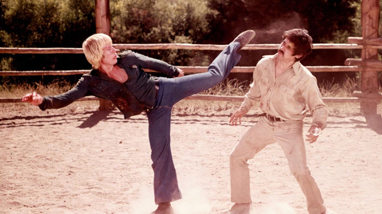 Backdrop – Breaker! Breaker! - Voll in Action