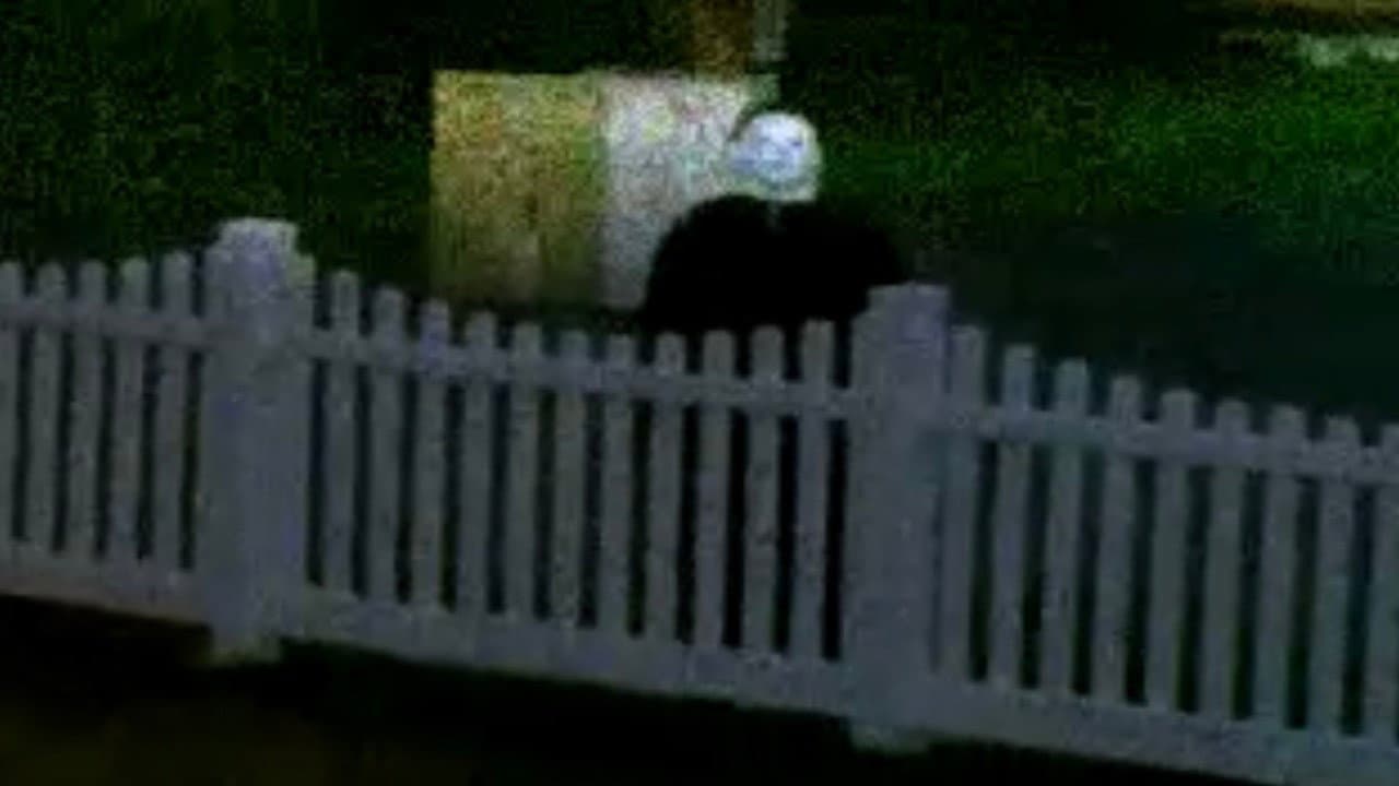 Backdrop – The Lost Footage of Michael Myers