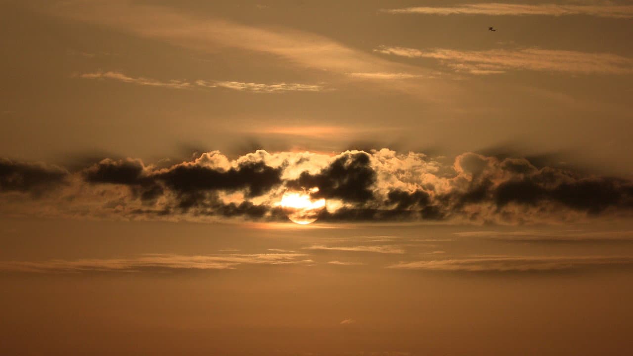 Backdrop – The Day: The Movie