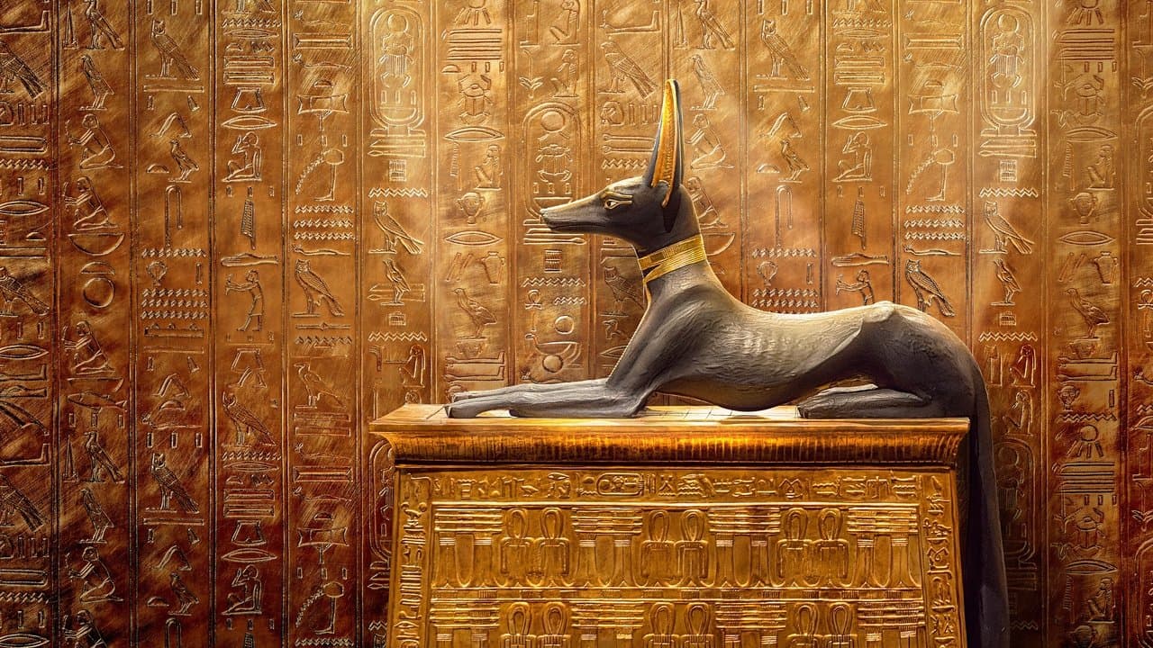 Backdrop – King Tut: A Century of Secrets