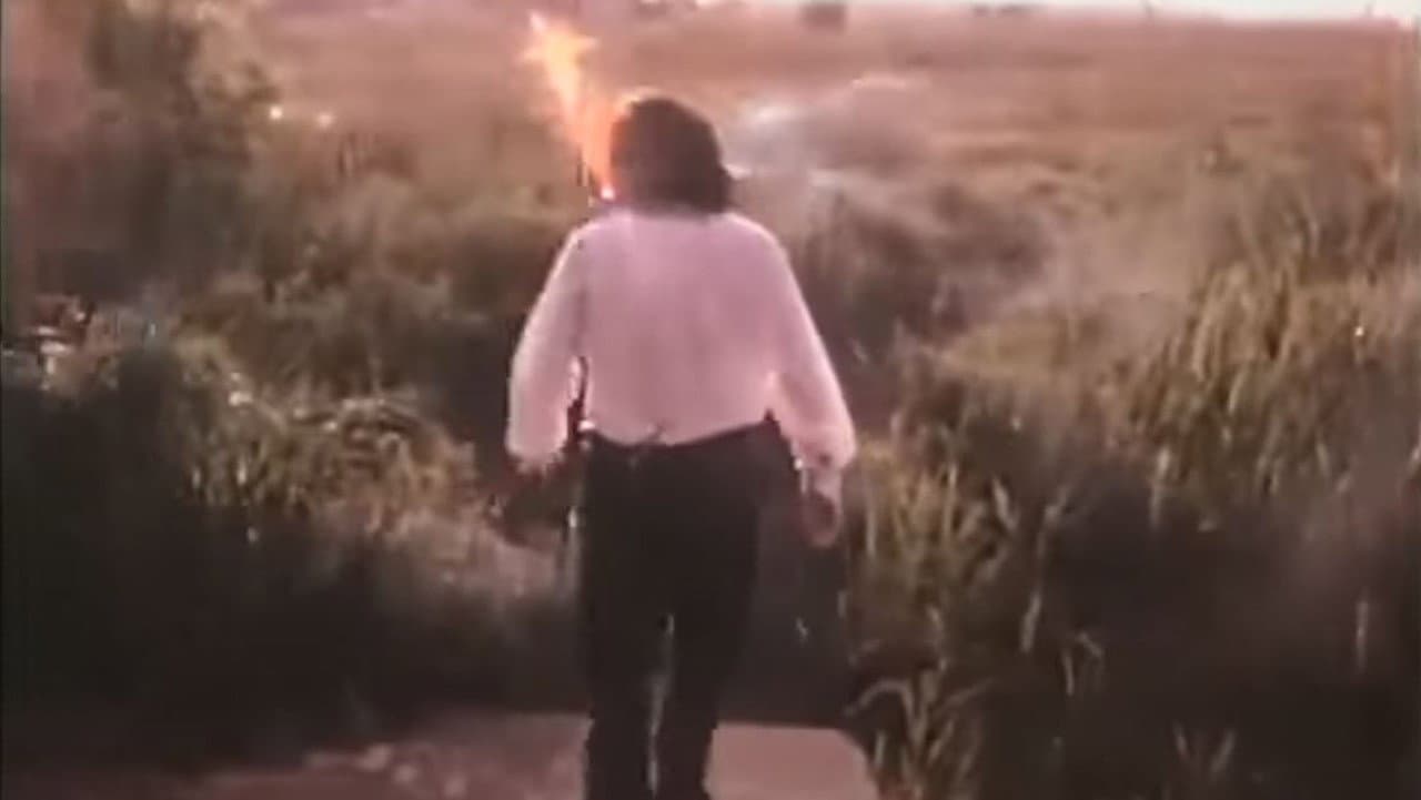 Backdrop – It Took Guts