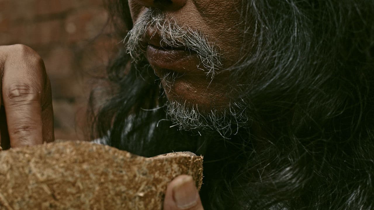 Backdrop – Juru Sapuh