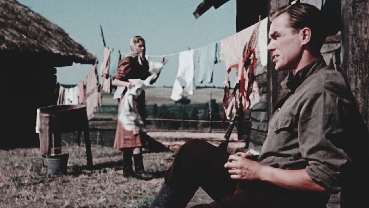 Backdrop – Valgus Koordis