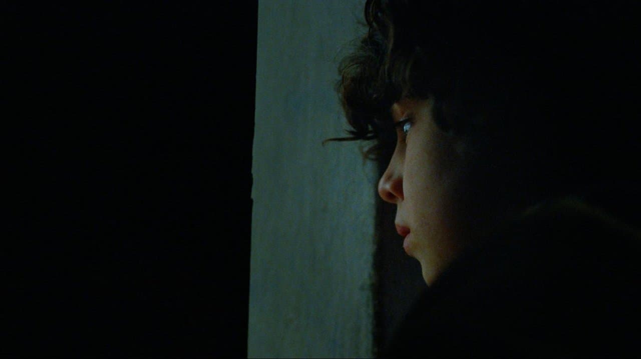 Backdrop – El Padre Bueno