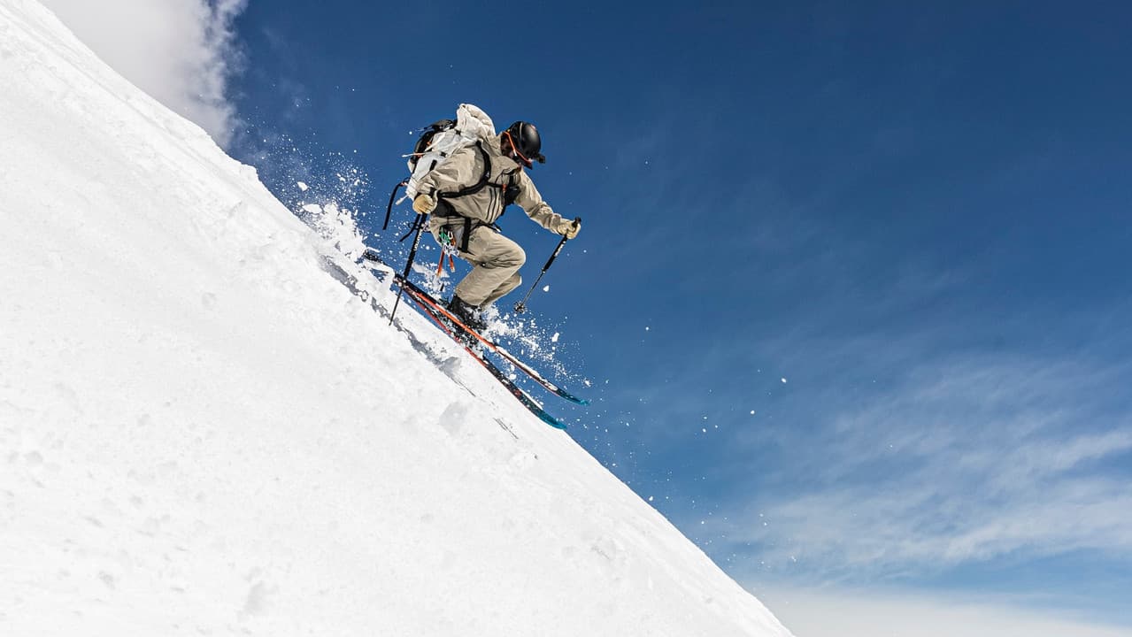 Backdrop – Summit Fever