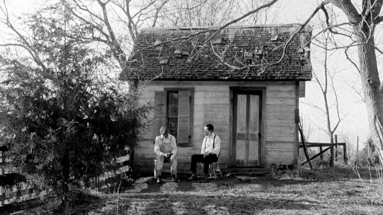 Backdrop – Lomax