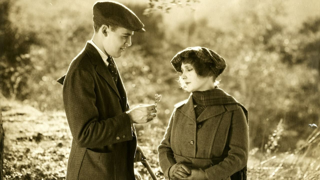 Backdrop – The White Heather