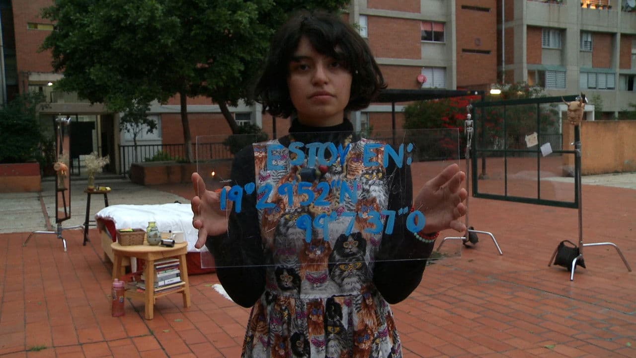 Backdrop – Viaje Sencillo