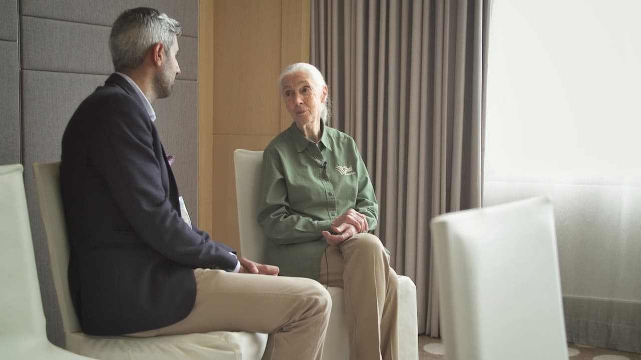 Backdrop – Planet ohne Affen