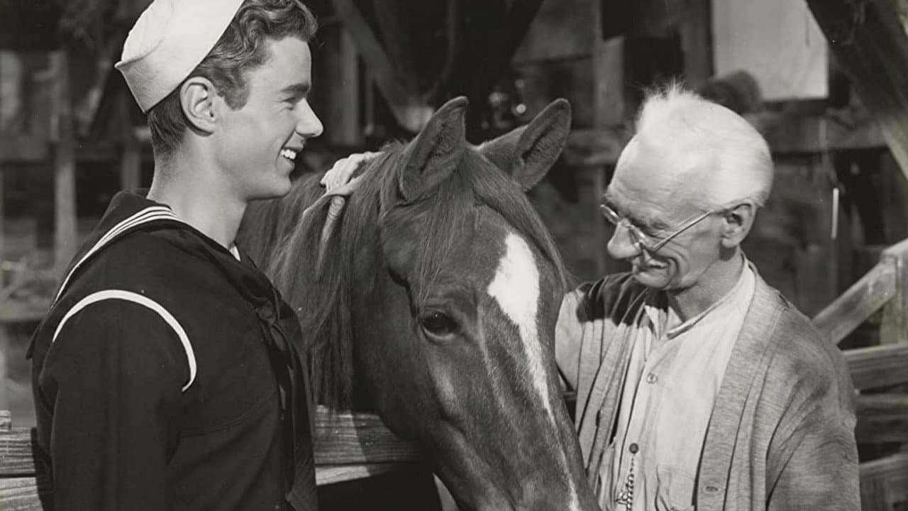 Backdrop – Gallant Bess