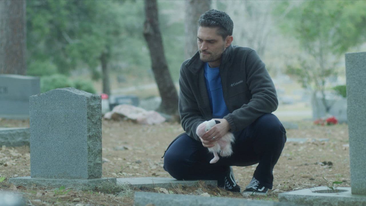 Backdrop – Beautiful Dark