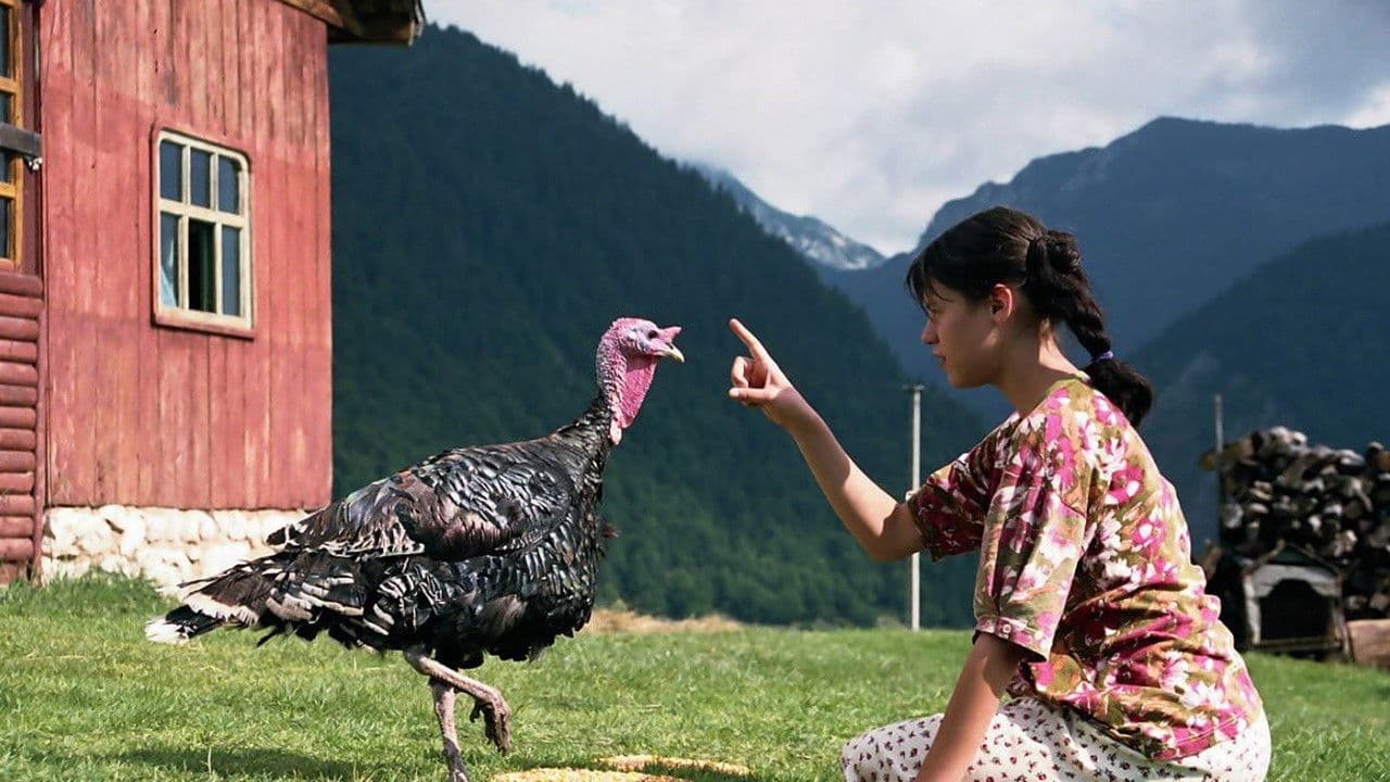 Backdrop – Lost and Found