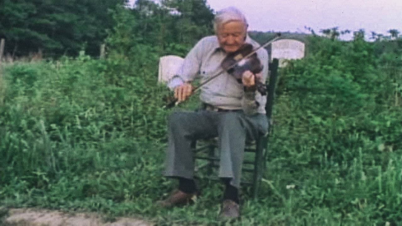 Backdrop – Sprout Wings and Fly